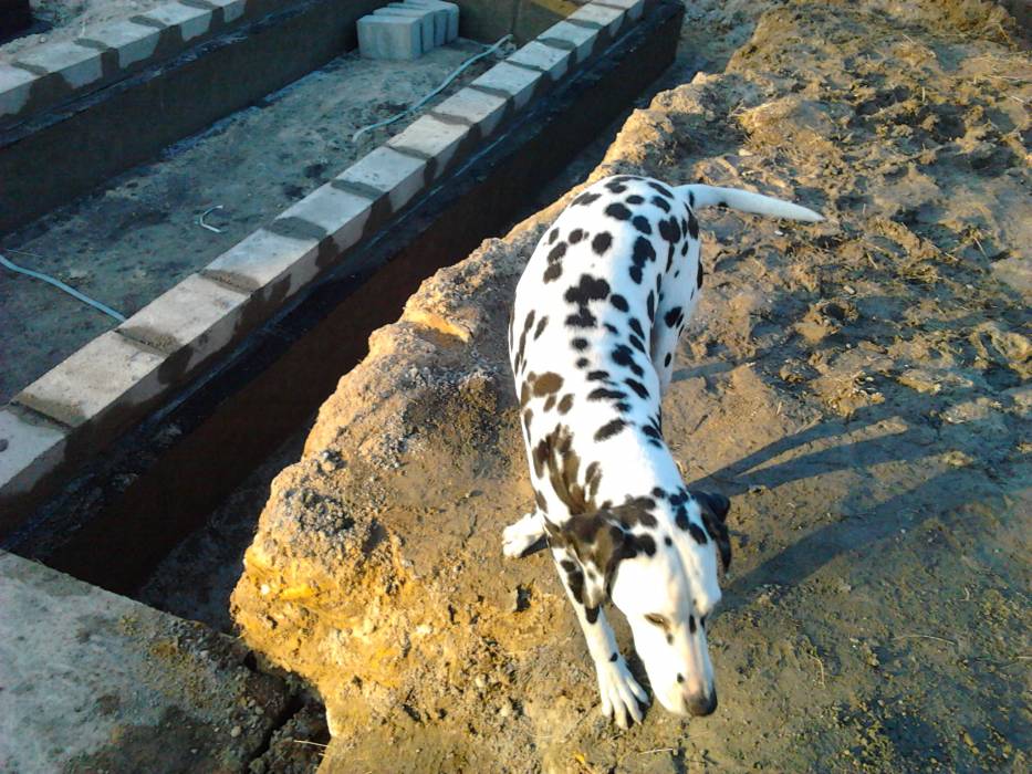 blog budowlany - mojabudowa.pl